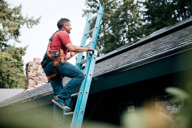 Professional Roofing in Big Lake, AK